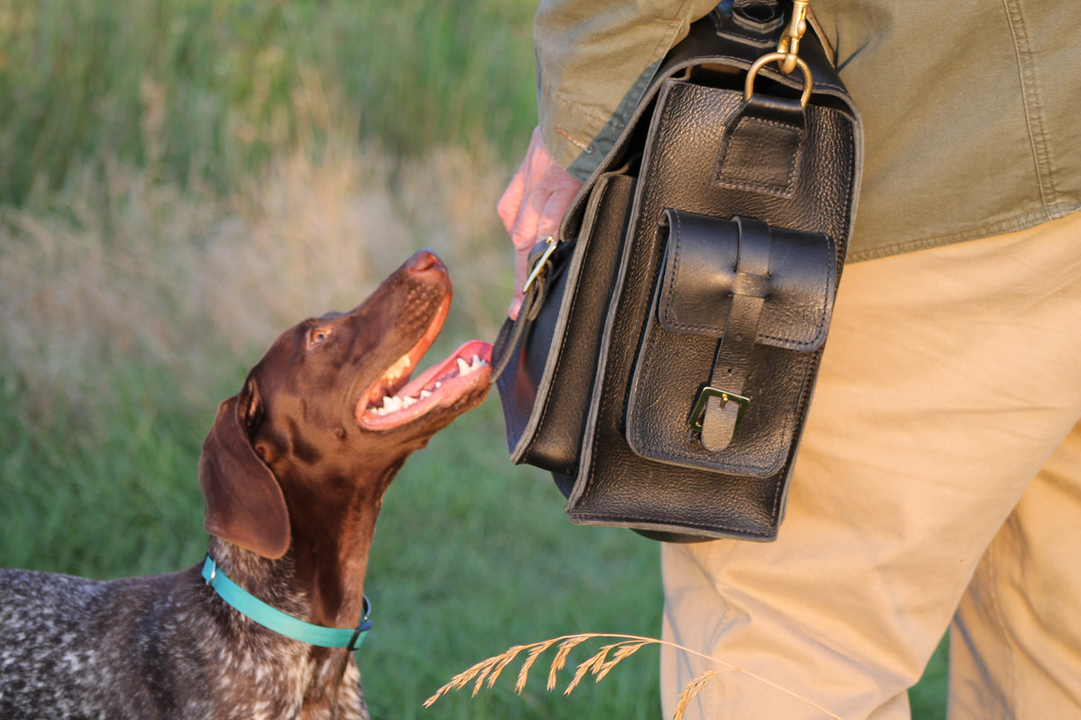 The Alexander Messenger
